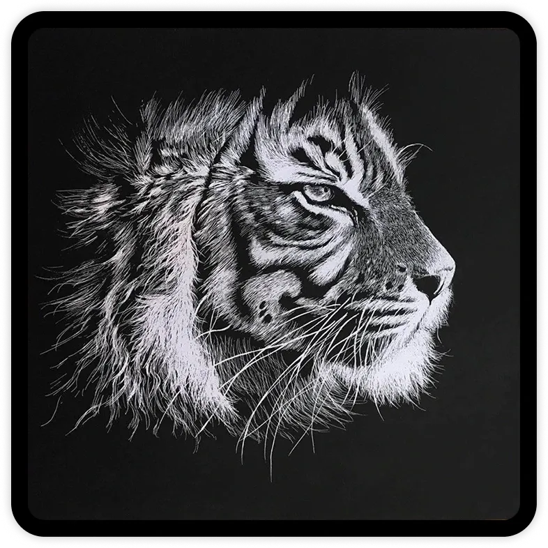 Drawing of a tiger in profile, white lines on black